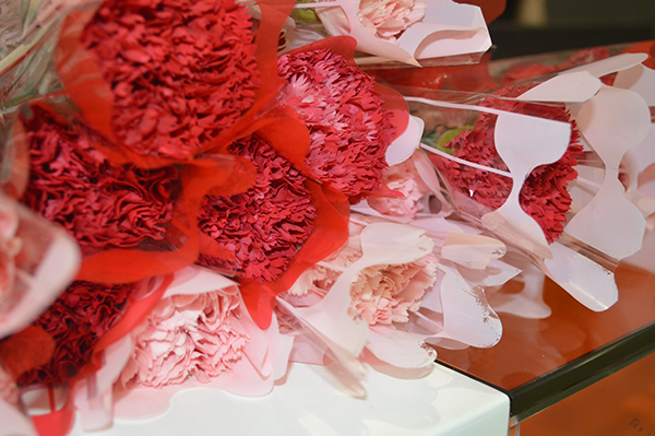 太陽能路燈，太陽能路燈廠家，太陽能路燈價格