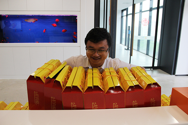 太陽能路燈，太陽能路燈廠家，太陽能路燈價格