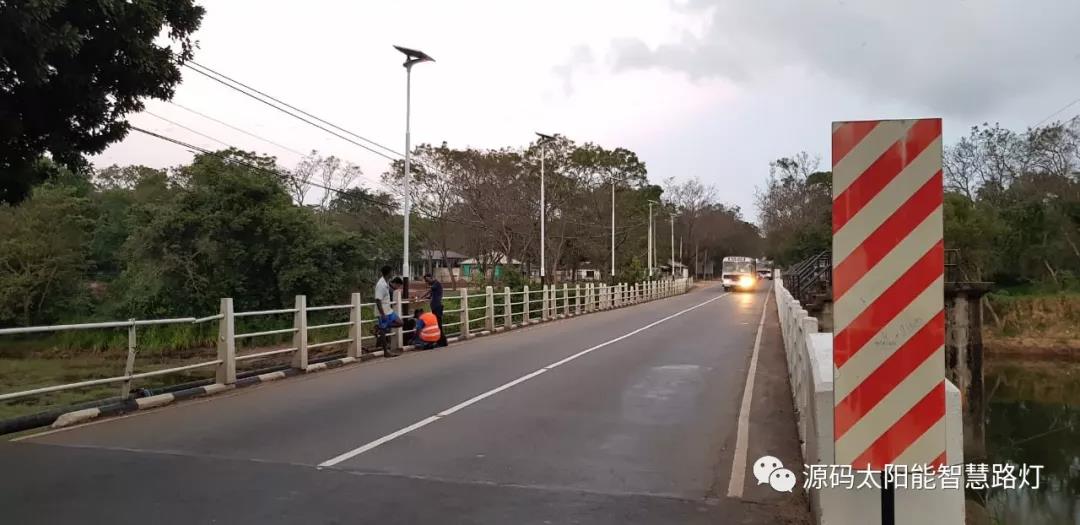 總統、發展局主席齊齊發聲，源碼火遍這個國家