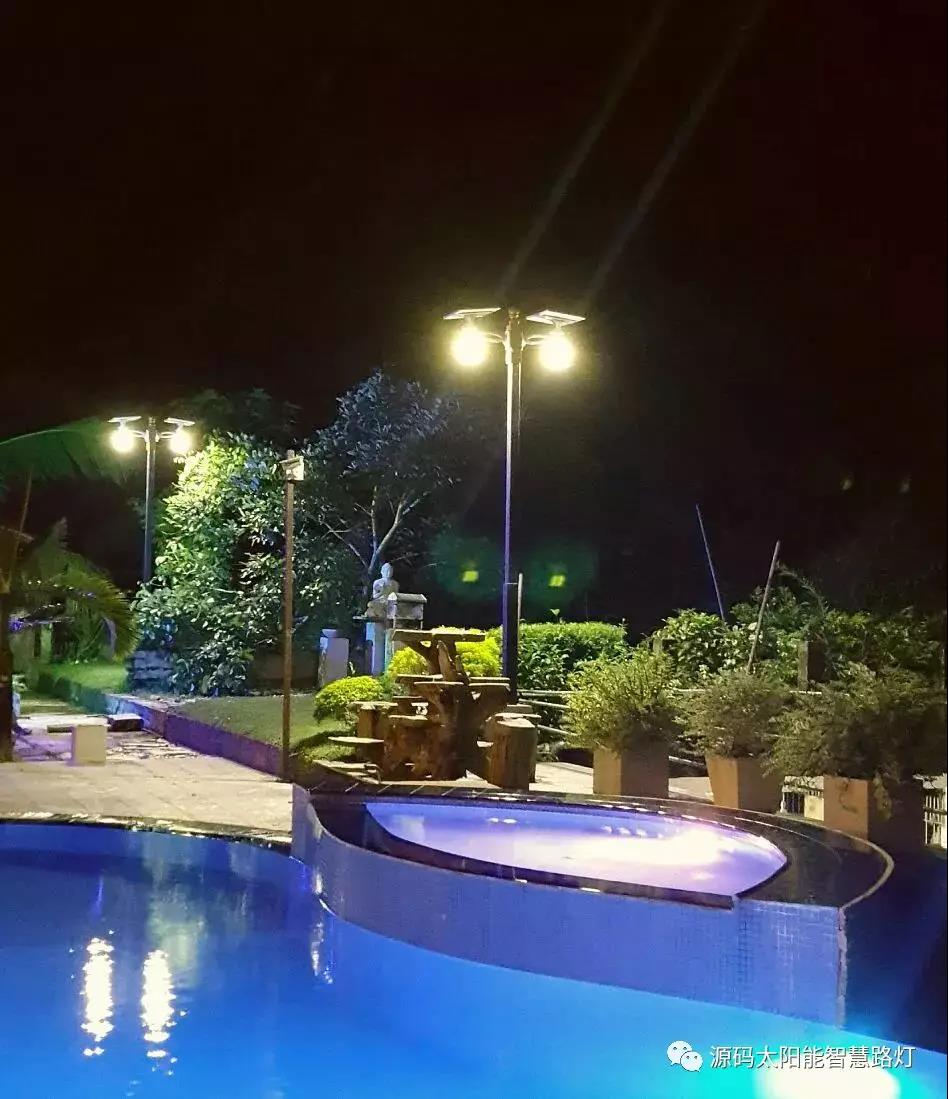 總統、發展局主席齊齊發聲，源碼火遍這個國家